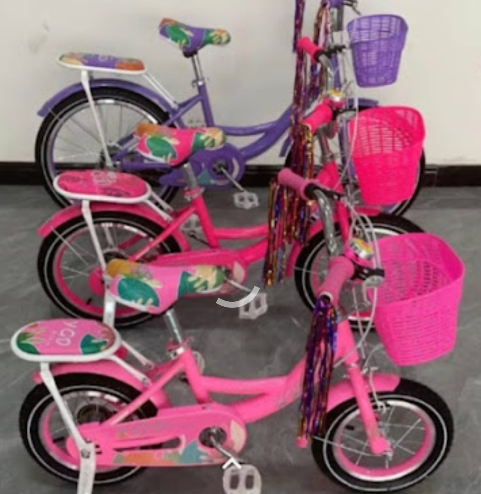 Vélo 12 pouces de 2 ans à 5 ans 